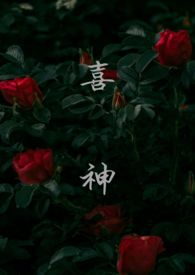 喜神（1v1叔侄）喜神（1v1叔侄）